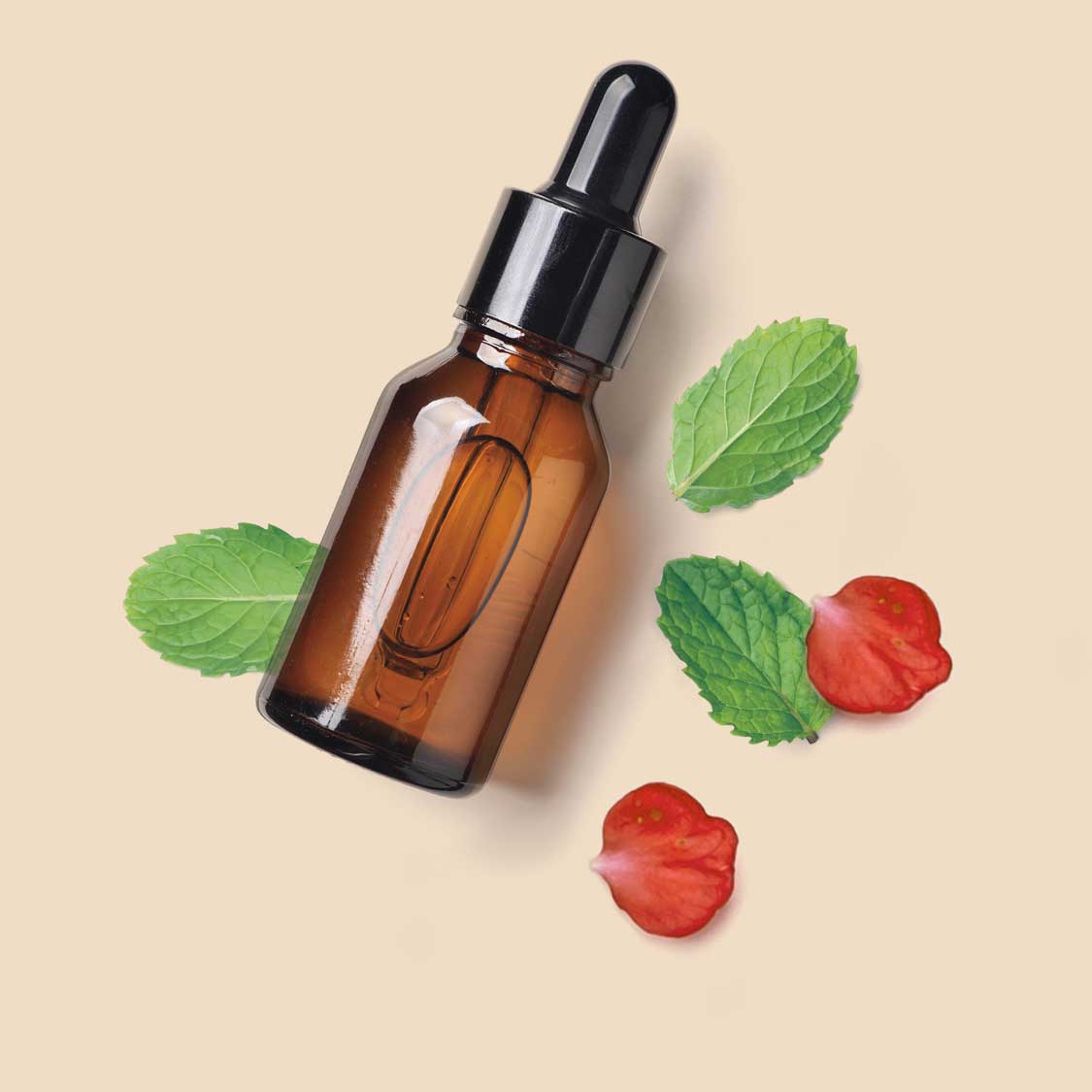 eine zweite Flasche mit einer Fluessigkeit, daneben Blaetter